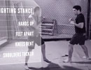 mma punch kick combos